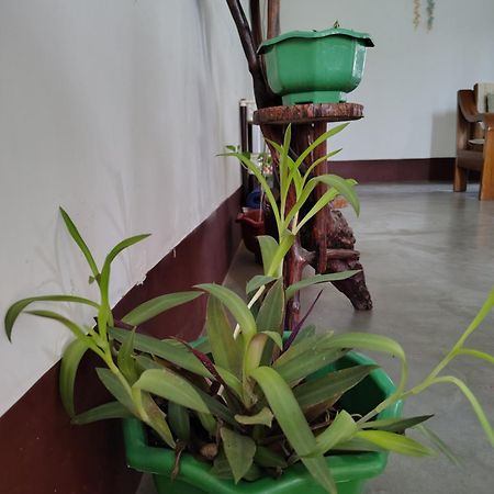 Gayatri Homestay Dibrugarh Esterno foto